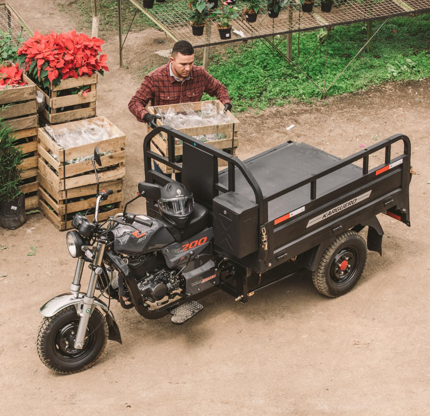 Screenshot 2025-10-10 104355 Screenshot 2025-10-10 104355